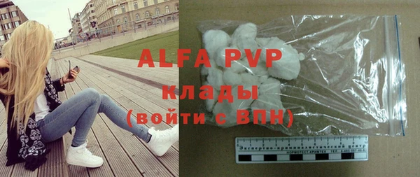 прущие грибы Медногорск