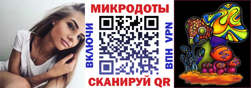 Псилоцибиновые грибы Psilocybe Покров